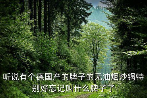 聽說有個德國產(chǎn)的牌子的無油煙炒鍋特別好忘記叫什么牌子了