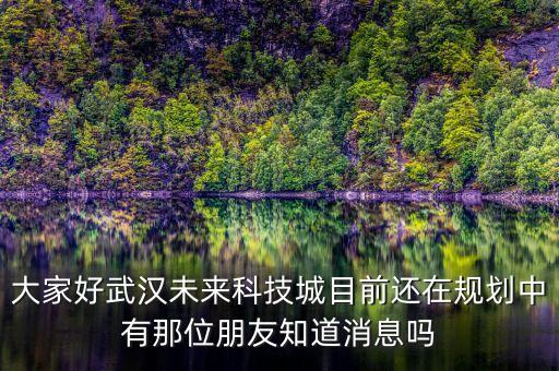 大家好武漢未來科技城目前還在規(guī)劃中有那位朋友知道消息嗎