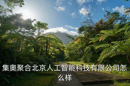集奧聚合北京人工智能科技有限公司怎么樣