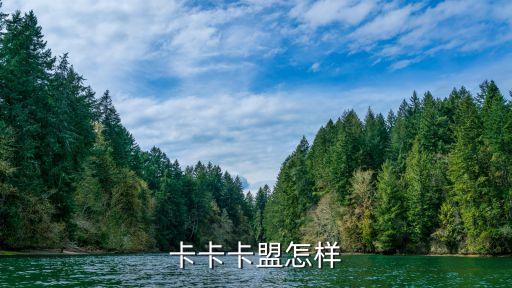 卡卡卡盟怎樣
