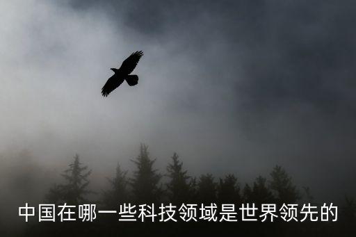 中國在哪一些科技領(lǐng)域是世界領(lǐng)先的