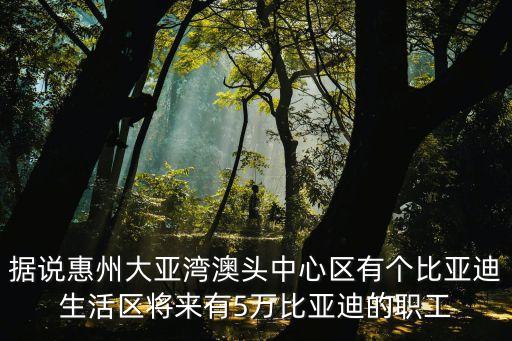 據(jù)說惠州大亞灣澳頭中心區(qū)有個(gè)比亞迪生活區(qū)將來有5萬比亞迪的職工