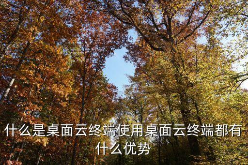 什么是桌面云終端使用桌面云終端都有什么優(yōu)勢(shì)