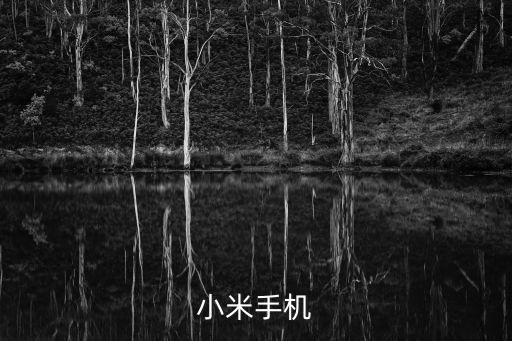 小米手機