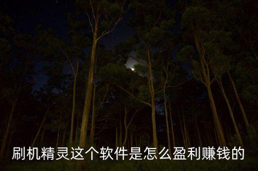 刷機(jī)精靈這個(gè)軟件是怎么盈利賺錢的