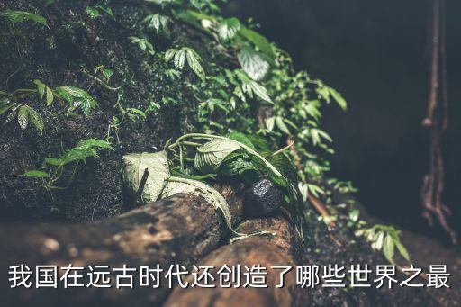 我國在遠(yuǎn)古時(shí)代還創(chuàng)造了哪些世界之最