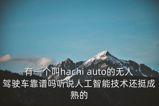 有一個(gè)叫hachi auto的無(wú)人駕駛車靠譜嗎聽(tīng)說(shuō)人工智能技術(shù)還挺成熟的