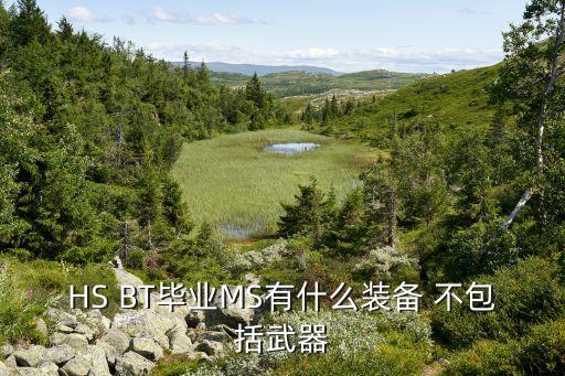 HS BT畢業(yè)MS有什么裝備 不包括武器