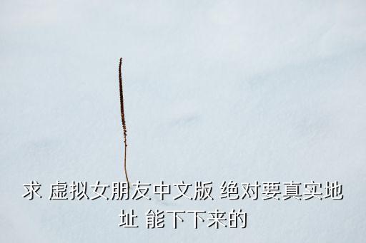 求 虛擬女朋友中文版 絕對(duì)要真實(shí)地址 能下下來的