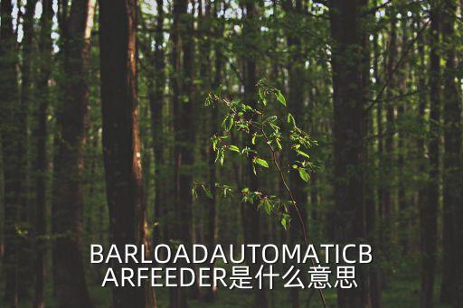 BARLOADAUTOMATICBARFEEDER是什么意思
