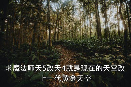 魔法師神器天四，DNF魔法師天四套裝造型補(bǔ)丁傻瓜包下載