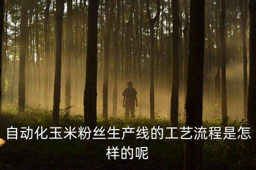 自動(dòng)化設(shè)備工藝流程，自動(dòng)化玉米粉絲生產(chǎn)線的工藝流程是怎樣的呢