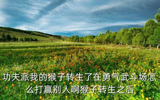 功夫派我的猴子轉(zhuǎn)生了在勇氣武斗場怎么打贏別人啊猴子轉(zhuǎn)生之后