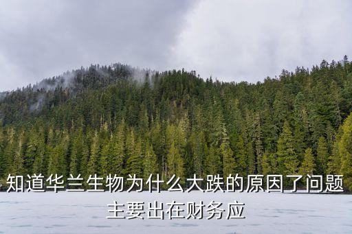 知道華蘭生物為什么大跌的原因了問題主要出在財務(wù)應(yīng)