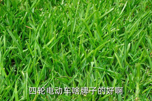 四輪電動(dòng)車啥牌子的好啊