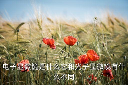 電子顯微鏡是什么它和光子顯微鏡有什么不同