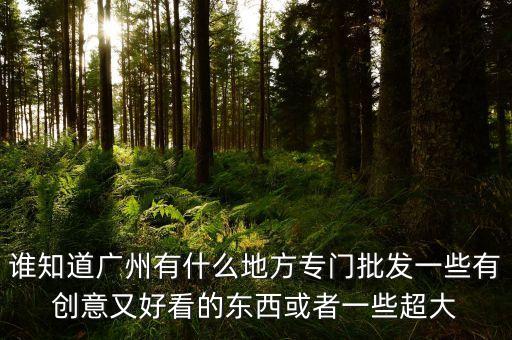 誰知道廣州有什么地方專門批發(fā)一些有創(chuàng)意又好看的東西或者一些超大
