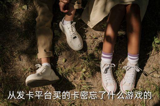 從發(fā)卡平臺買的卡密忘了什么游戲的