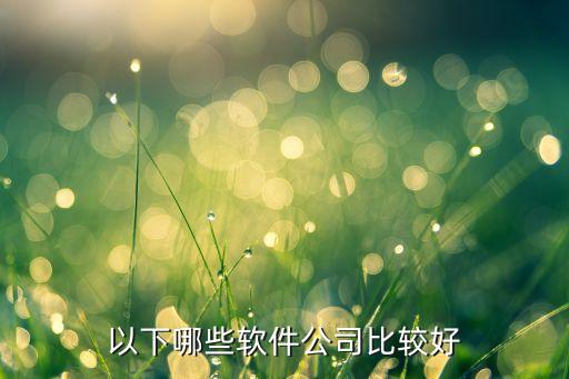 上海美萌軟件科技，上海寶山區(qū)紀(jì)蘊(yùn)路588號(hào)智力產(chǎn)業(yè)園3號(hào)樓南樓33053307是什么公司