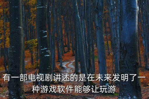 有一部電視劇講述的是在未來發(fā)明了一種游戲軟件能夠讓玩游