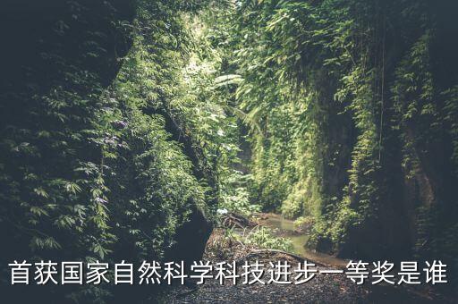 首獲國家自然科學(xué)科技進(jìn)步一等獎是誰