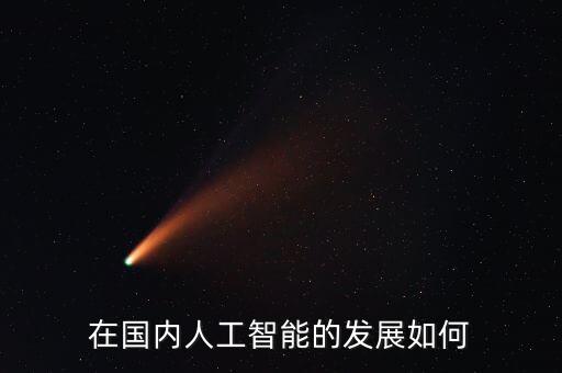在國(guó)內(nèi)人工智能的發(fā)展如何