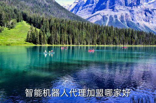 智能機(jī)器人代理加盟哪家好