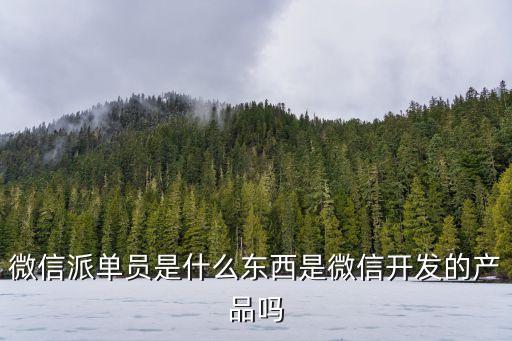 微信派單員是什么東西是微信開發(fā)的產(chǎn)品嗎