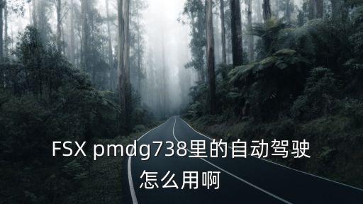 FSX pmdg738里的自動(dòng)駕駛怎么用啊