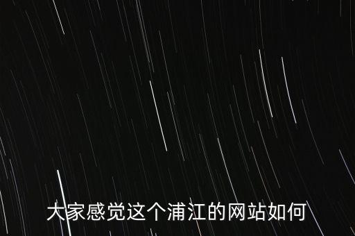 大家感覺這個(gè)浦江的網(wǎng)站如何