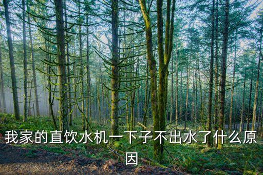 我家的直飲水機(jī)一下子不出水了什么原因