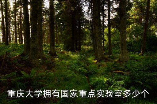 重慶大學(xué)擁有國(guó)家重點(diǎn)實(shí)驗(yàn)室多少個(gè)