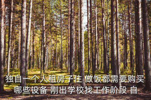 一個(gè)人可以做的設(shè)備，獨(dú)自一個(gè)人租房子住 做飯都需要購買哪些設(shè)備 剛出學(xué)校找工作階段 自