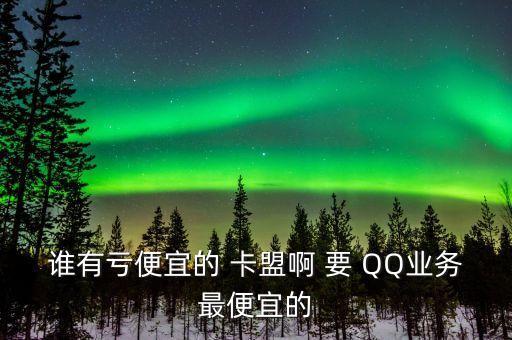 誰有虧便宜的 卡盟啊 要 QQ業(yè)務(wù)最便宜的