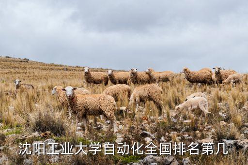 全國工業(yè)自動化，沈陽工業(yè)大學自動化全國排名第幾