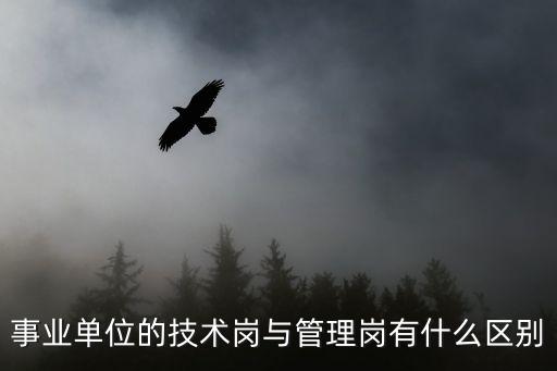 事業(yè)單位的技術(shù)崗與管理崗有什么區(qū)別