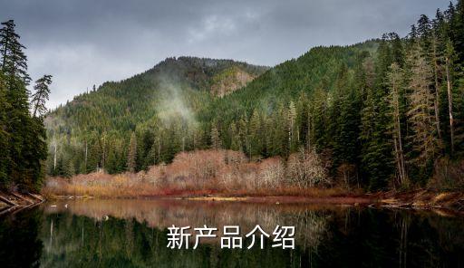 我國2021年發(fā)布的科技新品，工業(yè)互聯(lián)網(wǎng)平臺白皮書 2021平臺價值篇重點(diǎn)解讀