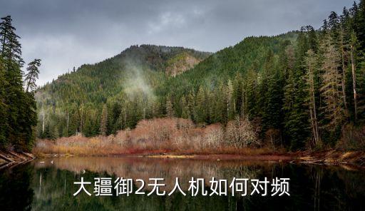 大疆御2無人機如何對頻
