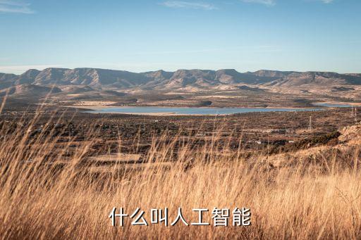 人工智能技術(shù)的定義和特點，人工智能技術(shù)的介紹