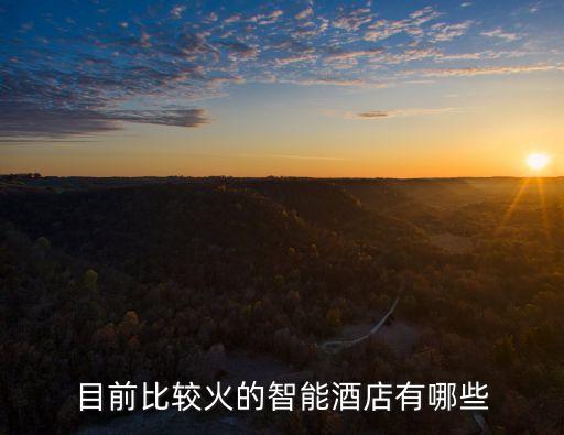 目前比較火的智能酒店有哪些