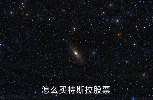 怎么買(mǎi)特斯拉股票