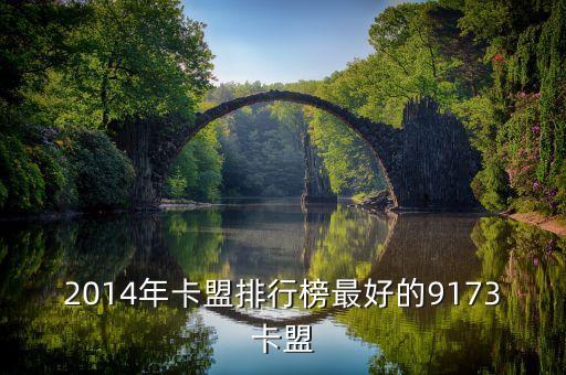 2014年卡盟排行榜最好的9173卡盟