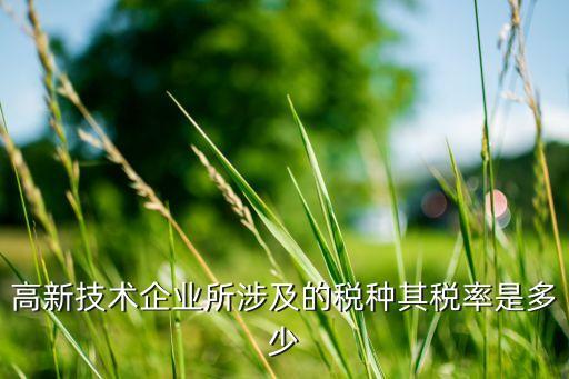 高新技術(shù)企業(yè)所涉及的稅種其稅率是多少