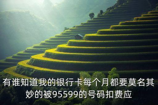 有誰知道我的銀行卡每個月都要莫名其妙的被95599的號碼扣費應