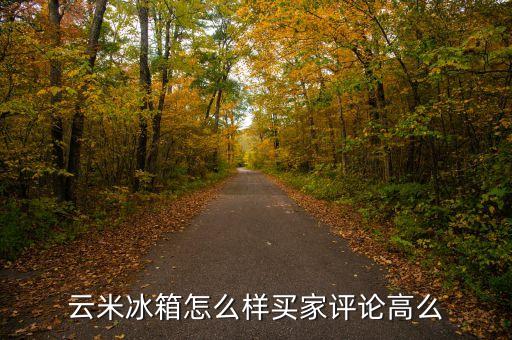 云米冰箱怎么樣買家評論高么