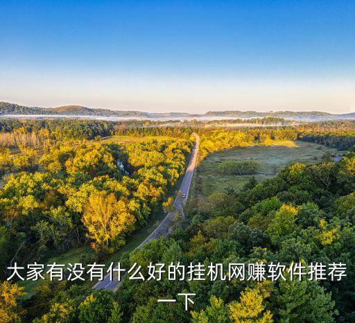 免費(fèi)掛機(jī)賺錢平臺(tái)，有沒有免費(fèi)掛機(jī)賺錢的軟件