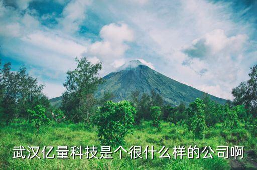 億量科技是騙子公司嗎，如果查不到呢是騙子公司嗎