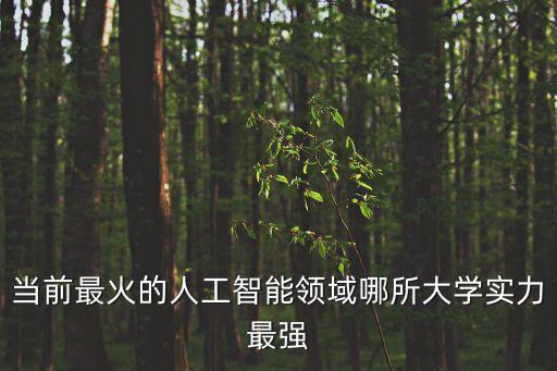 當前最火的人工智能領(lǐng)域哪所大學實力最強