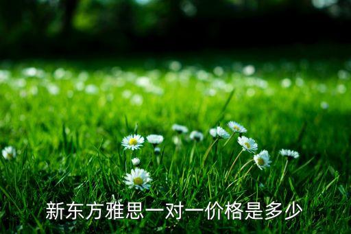 新東方雅思班價目表，新東方雅思一對一價格是多少