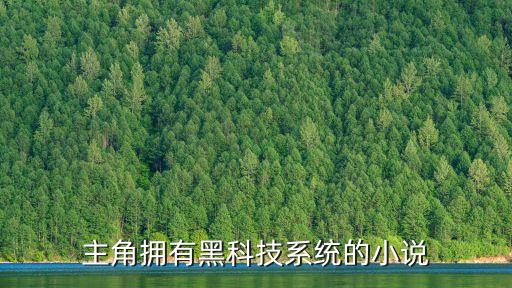 主角擁有黑科技系統(tǒng)的小說
